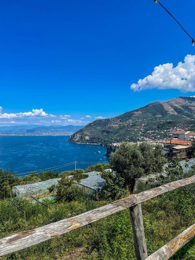 Antica Tenuta Celotto Віко-Екуенсе Екстер'єр фото