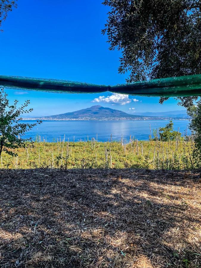 Antica Tenuta Celotto Віко-Екуенсе Екстер'єр фото